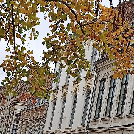 3 Petits Chats Dans Le Vieux