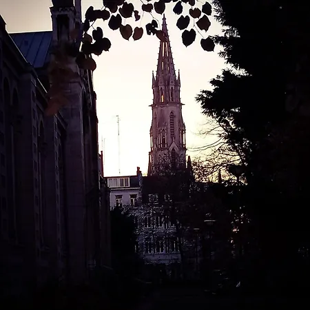 3 Petits Chats Dans Le Vieux 릴